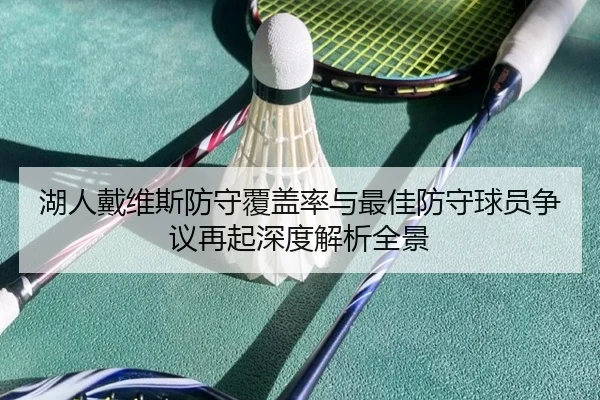 湖人戴维斯防守覆盖率与最佳防守球员争议再起深度解析全景