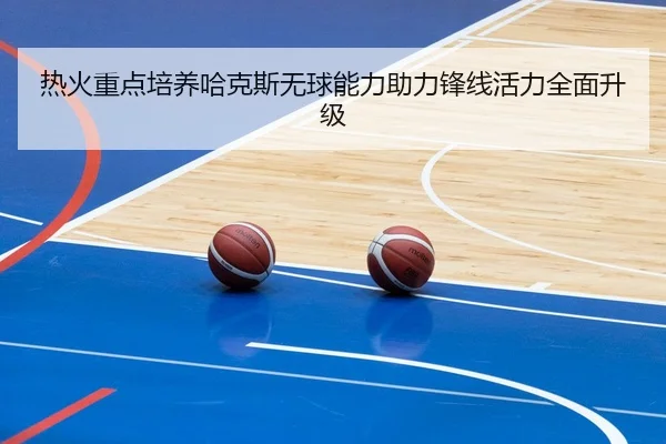 热火重点培养哈克斯无球能力助力锋线活力全面升级
