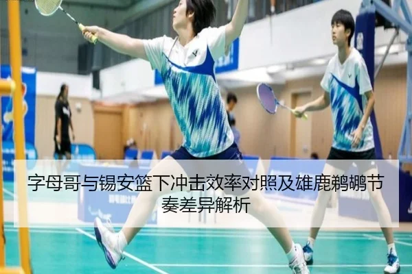 字母哥与锡安篮下冲击效率对照及雄鹿鹈鹕节奏差异解析